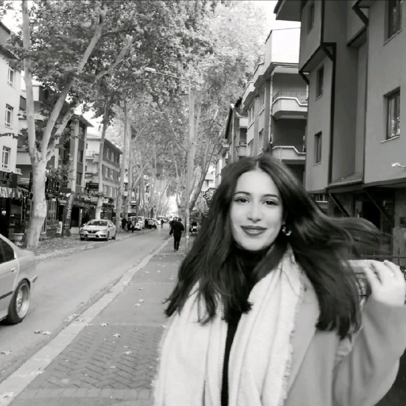 random picture from picsum.photos